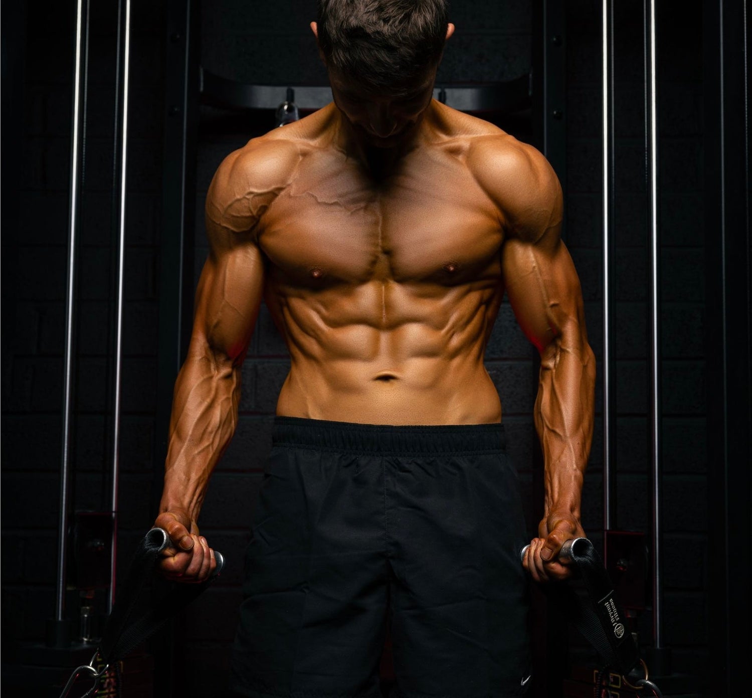 Workout Routines For Different levels